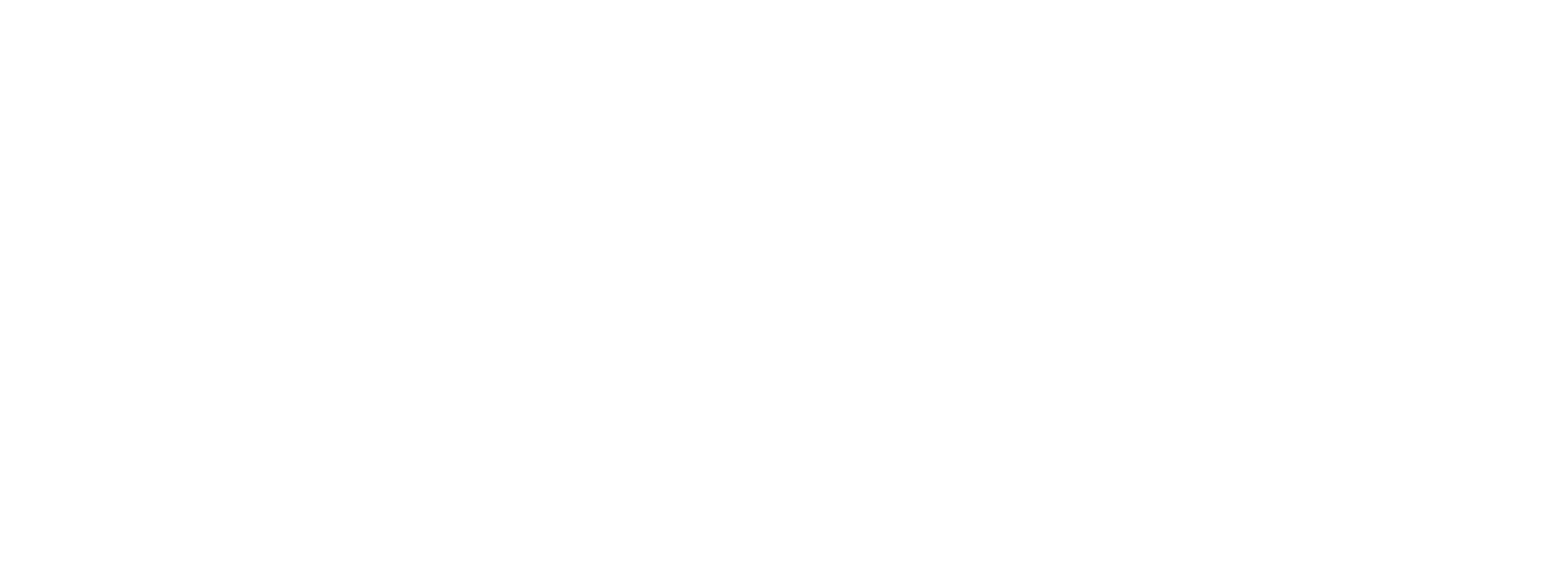 AEL e-commerce logistics