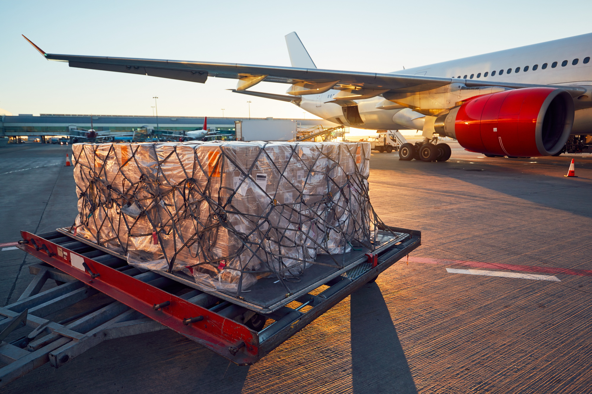 Reverse Logistics Services 3 Loading to the aircraft